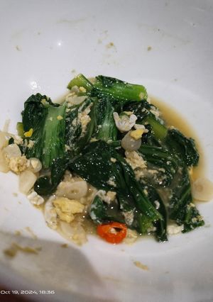 Foto resep Tumis Pokchoy Telur