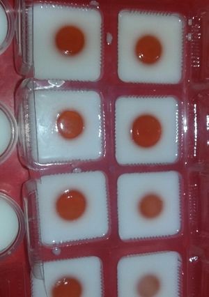 Foto resep Puding telor ceplok