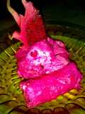 Dadar Gulung Naga #BikinBareng