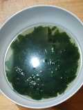 Sayur Daun Kelor