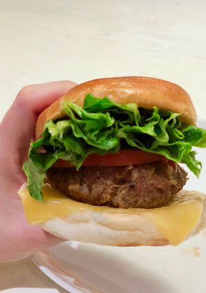 A picture of Hambagu (Japanese Hamburger steak).