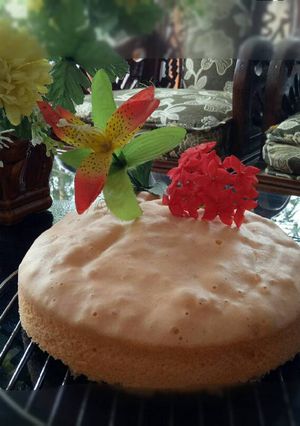 Foto resep Bolu Kukus Nutrijel