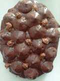 Oeuf choco noisette