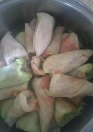 Töltött káposztám zöld kaporral 😊😉❤ új káposztából recept fotója