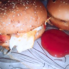 A picture of Vegetable cheese burger.