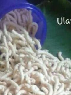 Foto resep Ulat sutra