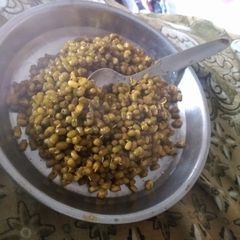 A picture of Sprouts.