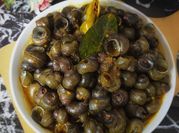 Gambar tutut pedas bumbu kuning