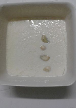 صورة لوصفة لبن رائب بطعم ورائحة الثوم