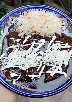 A picture of Mole Enchiladas ✨🍛.
