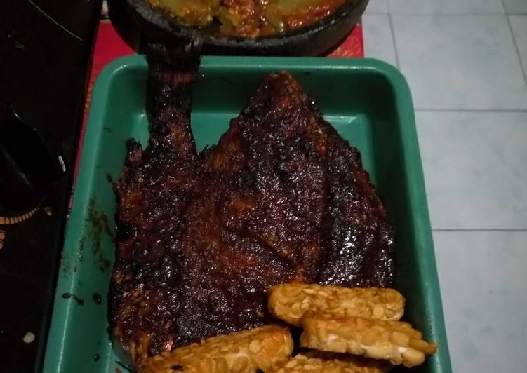 Bahan-bahan Kakap merah bakar yang enak Untuk Jualan
