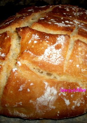 Une photo de Pain rond