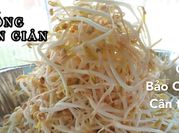 Hình ảnh của trồng giá