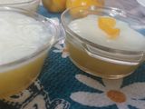 مهلبية باالبرتقال
