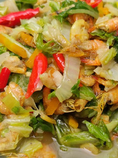 Foto resep Tumis Sawi + Udang