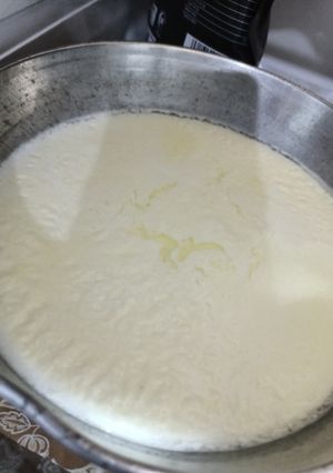 A picture of Yogurt.