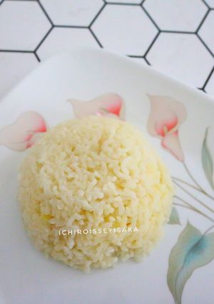 Foto resep Nasi Hainam praktis
