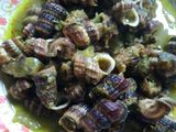 Siput kuah hijau