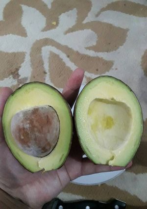 Foto resep Cara mematangkan alpukat