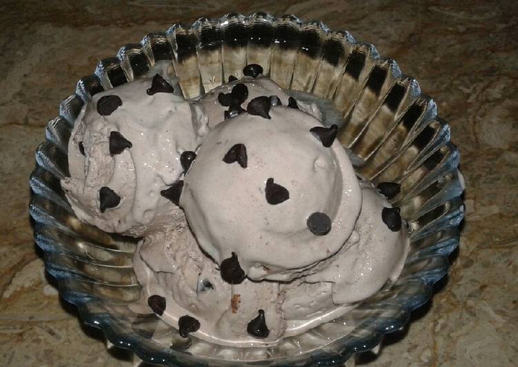 Chocolate chip ice cream (summer especial)