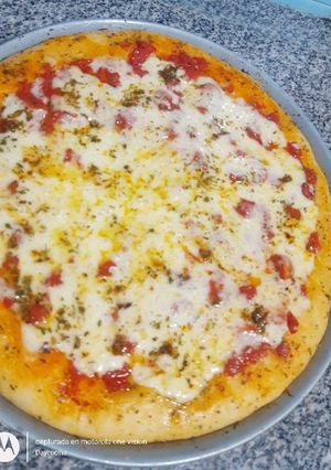 Una foto de Pizza de Mozzarella