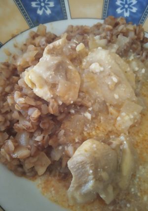 Hajdina tejfölös szósszal recept fotója