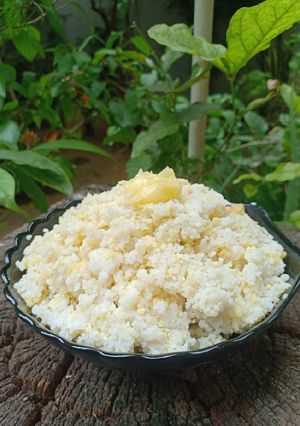 A picture of Kodo millet Khichdi.