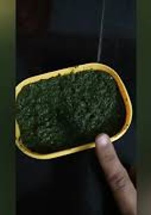 A picture of Pundina Chutney.