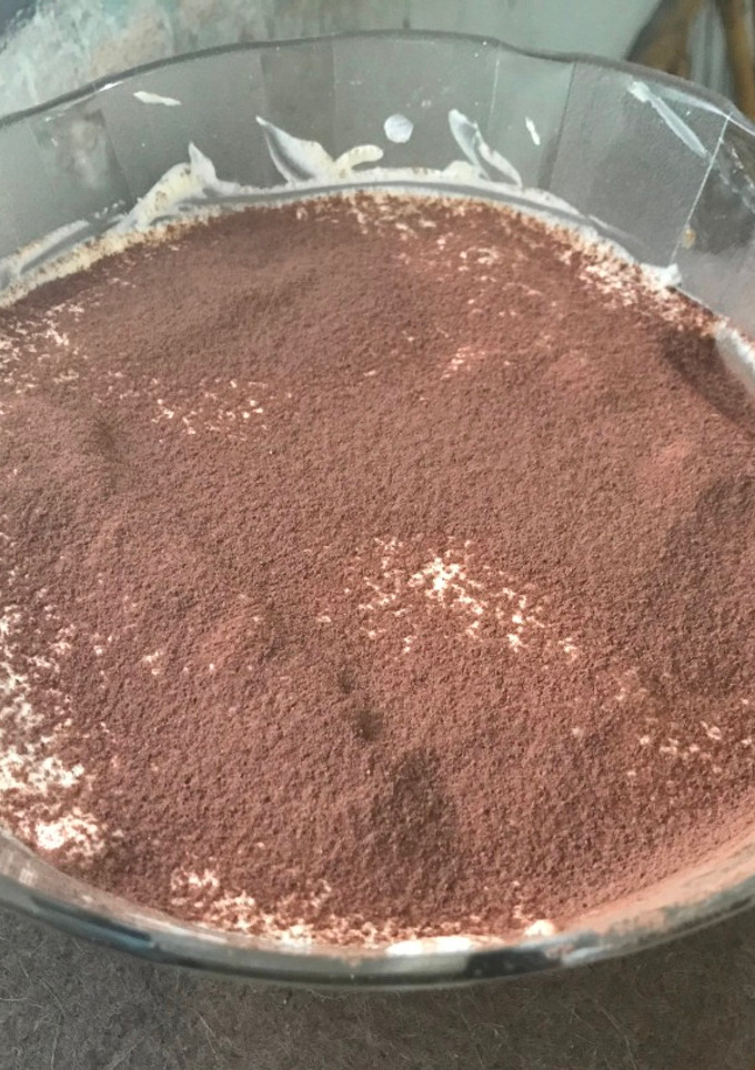 Una foto de Tiramisú Sin Horno