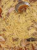 Fideo con tuco, hecho con mi Abuelo