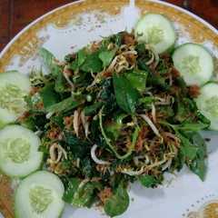 รูปของ Urap (#pr_olahankelapa)
