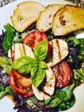 Tomate-Mozzarella auf Salatmix mit Balsamico-Preiselbeerdressing