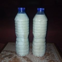 A picture of Kunun Aya (Tigernut milk).