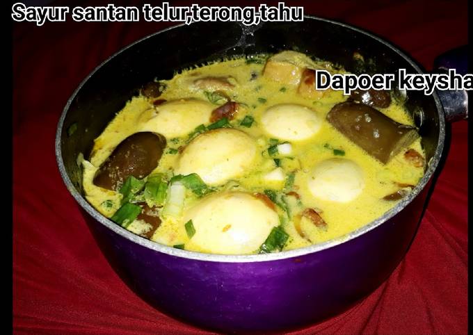 Anti Ribet, Membuat 💜SAYUR SANTAN TELOR TAHU TERONG💜 Yang Enak