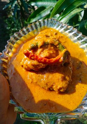 রুই মাছের র্কোমা (rui macher korma recipe in Bengali) রেসিপির প্রধান ছবি