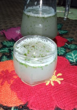 A picture of Mint Cooler.