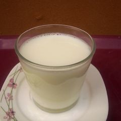 A picture of Vegan/Lactose Intolerant Milk.