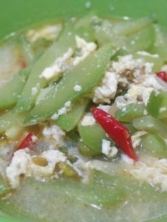 Foto resep Tumis Labu Siam Telur