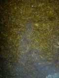 Chilorio sinaloense a la Mario, s