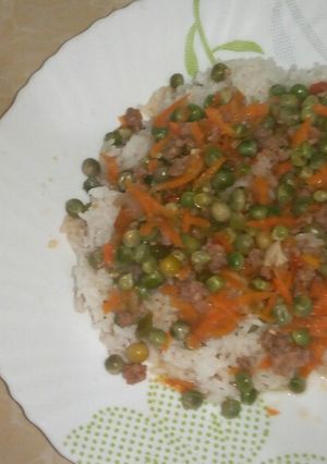 A picture of Coconut Rice & Mince Meat Stew.