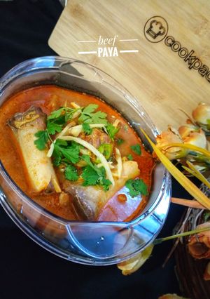 A picture of Beef paya.