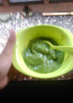 Foto resep Mpasi Bubur Seledri