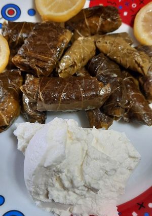 Φωτογραφία της συνταγής Ντολμαδάκια με γιαούρτι