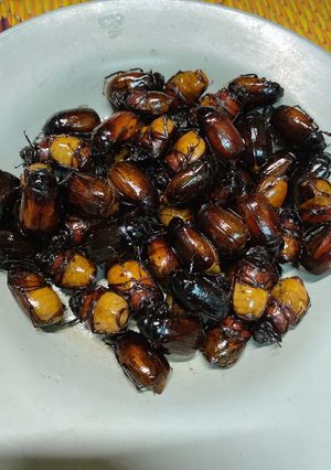 รูปของ แมงจีนูนคั่ว 🤤 / Roasted Cockchafers 😋