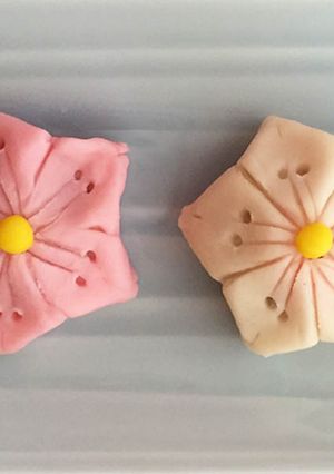 Une photo de Nerikiri Wagashi: "Sakura (fleurs de cerisier)"