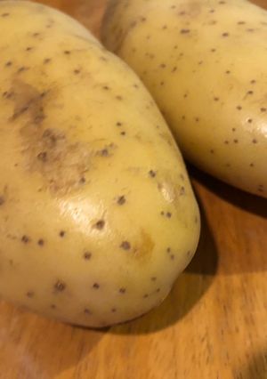 A picture of French Fries from Fresh Potatoes.