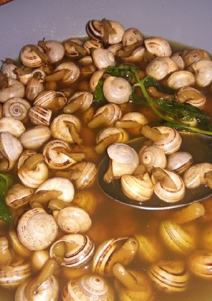 Una foto de Caracoles