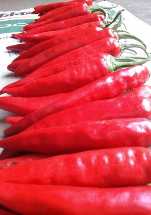 A picture of Red Cilli Pickle.