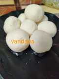 Bengali Rasgulla