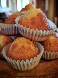 Una foto de Magdalenas, las clásicas 🧁